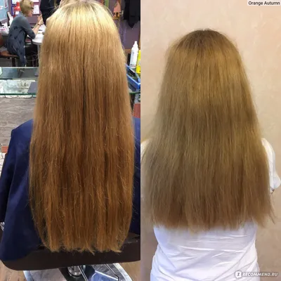 Бразильское кератиновое выпрямление волос Brazilian blowout с эффектом  улучшения качества волос! — Сеть салонов красоты Naturel Studio