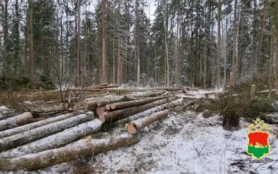 В заповеднике «Брянский лес» новая экспозиция — старинные «Карты местности»  — Брянск.News