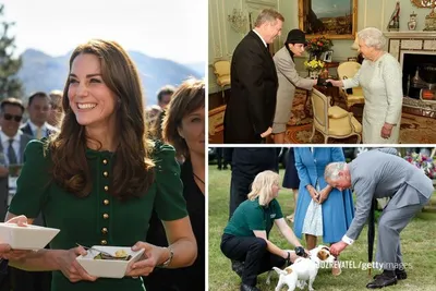 Британская королевская семья собралась на приеме в честь 50-летия  инвеституры принца Чарльза | Герцогиня кембриджская, Меган маркл, Королевские  семьи