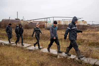 безумный. спайн. герб города на плитке тротуара. Редакционное Изображение -  изображение насчитывающей погремушк, вал: 235480075