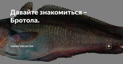 Бротола стейки с/м купить по выгодным ценам в Киеве, заказать Рыба онлайн в  интернет магазине морепродуктов ribka.ua