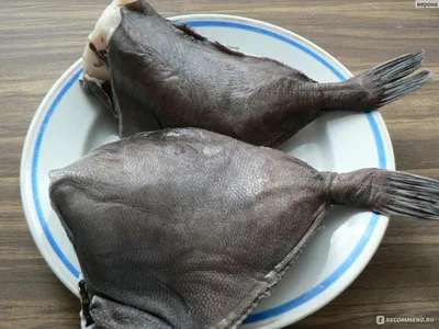 Страница 2 - ▷ Риба заморожена доставка додому ціна від 140 грн - Риба  заморожена купити в Києві