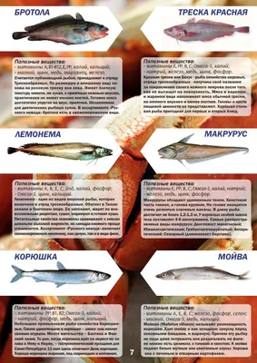 Лакедра н/р 800-1200, желтохвостая, Корея - Крым-Рыба купить оптом со  склада в Крыму - оптовые цены