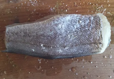 SeaGrid | Рыба и морепродукты оптом