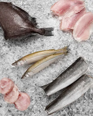 Неправильные названия рыб на нашем рынке Часть 3 | Пикабу