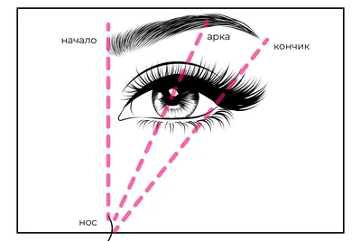 Форма бровей - как подобрать под себя идеальные брови