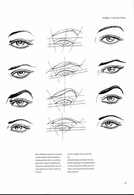 great face drawing reference! | Best eyebrow products, Microblading  eyebrows, Microblading