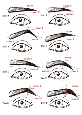 Форма бровей по типу лица: как подобрать идеальную форму бровей