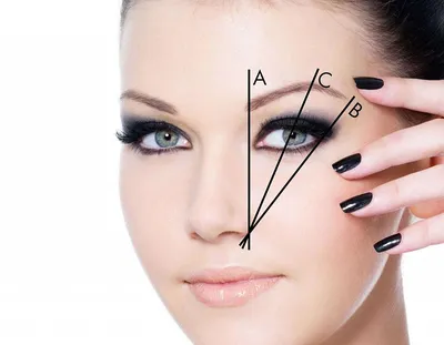 Идеальные брови для вашей формы лица | Marybrows | Дзен
