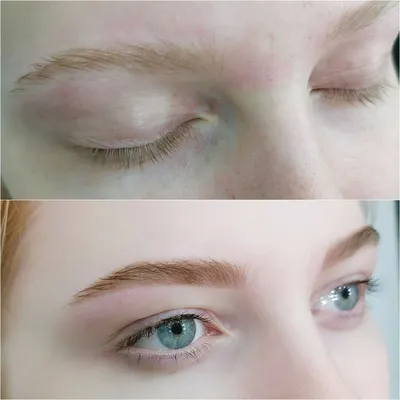 Пудра для бровей Brow Powder от Luxvisage | Обзор и отзывы