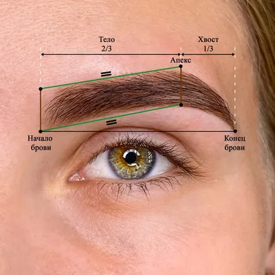 Модные брови 2023: главные тренды года | EVA Blog