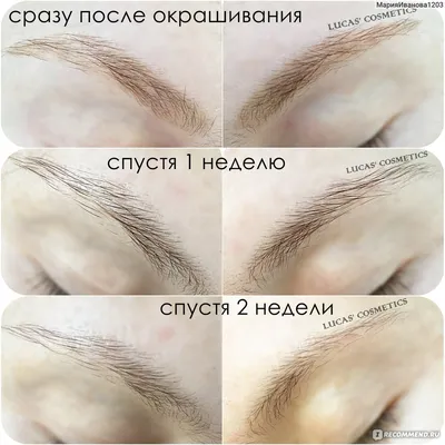 Хна для бровей Z-brow henna - «Хна для бровей Z-Brow в оттенках Brown и  Grey Brown *** Окрашивание бровей хной в домашних условиях *** Наглядные  фото До/После и через неделю *** Разбор