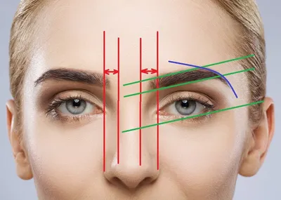 Коррекция бровей без окрашивания 🔗 +прореживание Обратите внимание на  начало брови, никакой стрижки ❌ | Instagram