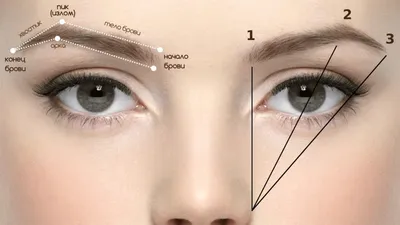 7 форм бровей, которые сделают вас моложе и подойдут любому типу лица -  Рамблер/новости