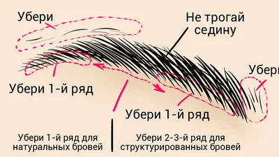 Форма бровей: сочетание с типом лица, прической, окрашивание