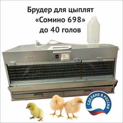 Брудер для цыплят бройлеров, перепелов, кур, несушек до 40 голов \"Сомино  698\" - купить с доставкой по выгодным ценам в интернет-магазине OZON  (800805341)
