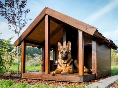Постройка будки для собаки из кирпича