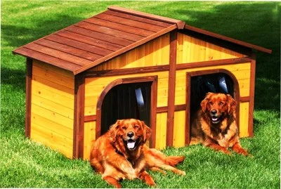 Дверь для животных шторка прозрачная - пвх завеса для собачьей будки  50х40см (ламели - 5шт/2мм x 10 см) - купить с доставкой по выгодным ценам в  интернет-магазине OZON (711534334)