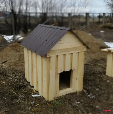 Будка для собаки утепленная 120/80/80 с двухскатной крышей (битумная  черепица) | Вольеры для собак в Киеве