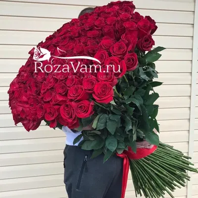 Букет 201 красная роза K с доставкой в Таллине, Эстонии - Roses.ee