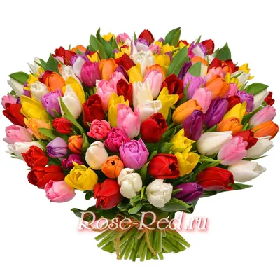 Купить букет из 21 разноцветного тюльпана на 8 марта в Воронеже