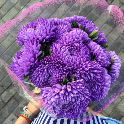 Bouquet of 51 asters - buy with delivery from ElitBuket