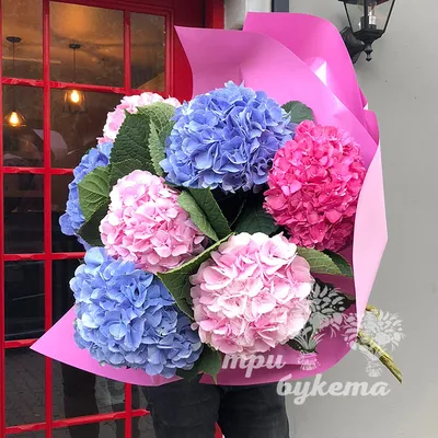 Букет с голубой гортензией • Доставка цветов в Краснодаре