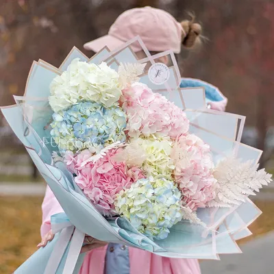 Букет гортензий \"Puff\", цветы и подарки в Сочи, купить за 3 770 ₽ | Фото,  отзывы, цены