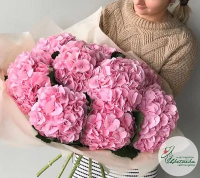 Букет гортензий с орхидеей, тюльпанами и атуриумом купить с доставкой в СПб