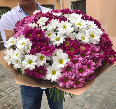 25 хризантем | Цветы.Ру