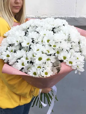 Букет из 25 хризантем заказать с доставкой в Челябинске - салон «Дари Цветы»