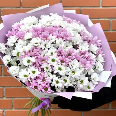 Букет из хризантем 25 шт | Доставка круглосуточно | flower25.ru