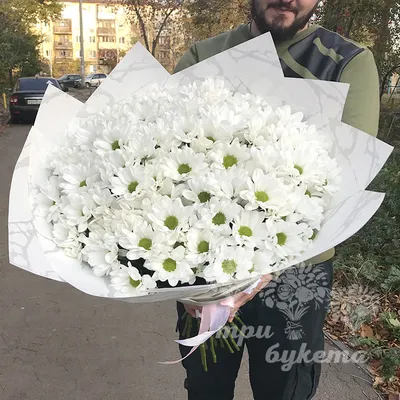 Купить букет из 25 кустовых хризантем в Волгограде