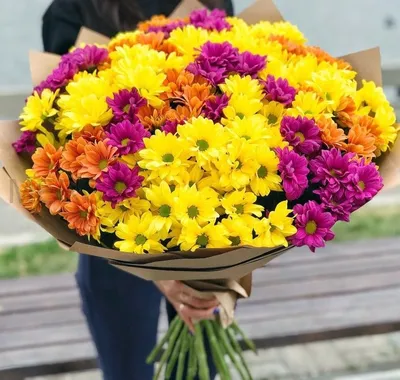 Букет из 25 кустовых хризантем микс - Доставка цветов в Москве