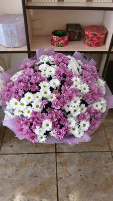 Букет 25 крашенных хризантем Мицуе — купить в Екатеринбурге