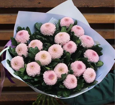 Букет из 25 веток хризантемы купить в Донецке с доставкой
