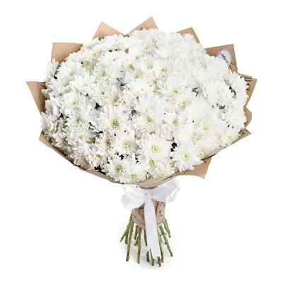 Букет из 25 белых хризантем - купить в Москве по цене 6390 р - Magic Flower