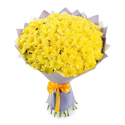 Букет из 25 желтых хризантем – купить с бесплатной доставкой в Москве