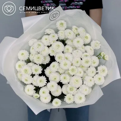 Букет из белых роз и кустовых хризантем купить в Барнауле с бесплатной  доставкой | Хризантемы недорого оптом розница