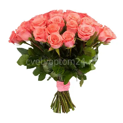Купить букет из 29 красных роз 50 см. в упаковке по доступной цене с  доставкой в Москве и области в интернет-магазине Город Букетов