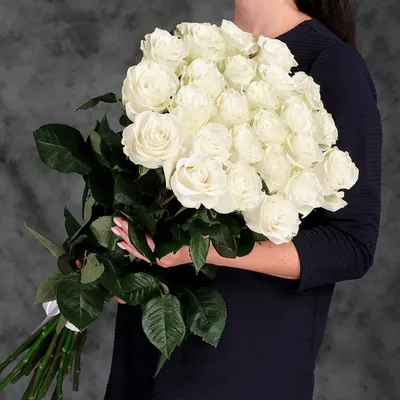 Купить Букет из 29 роз Maritim по выгодной цене в Краснодаре.