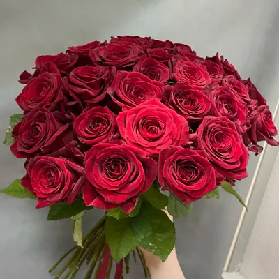 Букет из 29 красных роз (50 см) за 3890р. Позиция № 1240