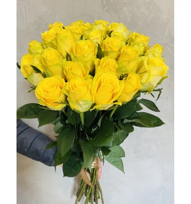 Букет из 29 роз \"Эль торо\" купить в Курске | заказать живые цветы с  доставкой на дом или самовывоз