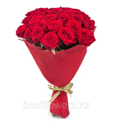 Купить 29 роз Miss Piggi по выгодной цене в Краснодаре.