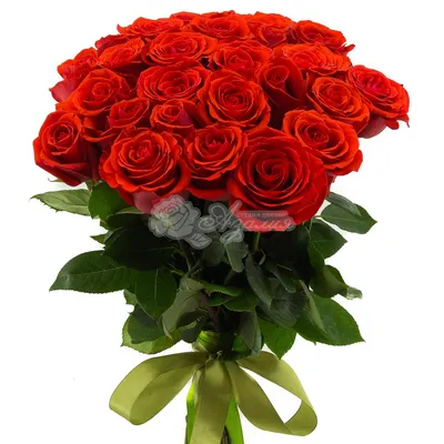 Букет из 29 роз 50см №649 и скидки в интернет магазине цветов Роз Новоросс