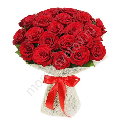 🎈 Букет из 29 красно-белых роз 🎈: заказать в Москве с доставкой по цене  4087 рублей