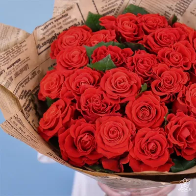 Букет из 29 красных роз - заказать и купить за 4 920 ₽ с доставкой в  Новороссийске - партнер «Mono Rose»