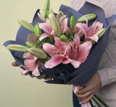 Купить Букет из 3 ароматных лилий на сайте магазина Цветочный Рай в  Новороссийске