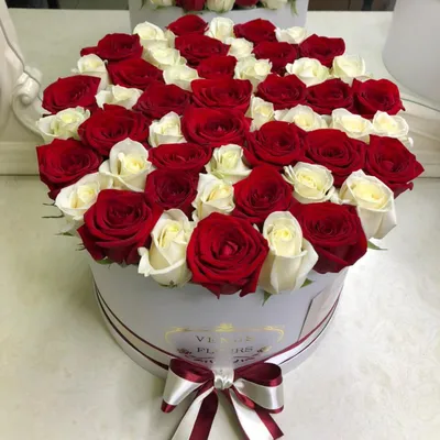Букет 25 эквадорских красных и белых роз 50 см - купить розы в Омске в  цветочной мастерской Лаванда