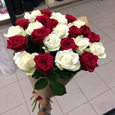 Красно-белые розы от 9 шт. за 3 990 руб. | Бесплатная доставка цветов по  Москве